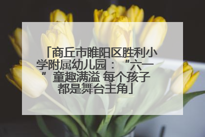 商丘市睢阳区胜利小学附属幼儿园：“六一”童趣满溢 每个孩子都是舞台主角