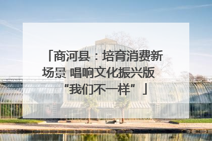 商河县：培育消费新场景 唱响文化振兴版“我们不一样”