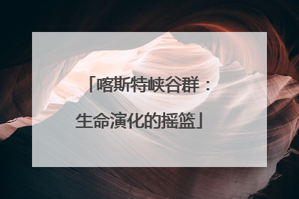 喀斯特峡谷群：生命演化的摇篮