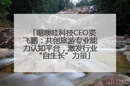 嗯噢哇科技CEO窦飞鹏：共创旅游专业能力认知平台，激发行业“自生长”力量