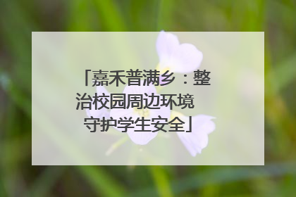 嘉禾普满乡：整治校园周边环境 守护学生安全