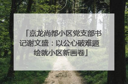 嘉龙尚都小区党支部书记谢文盛：以公心破难题 绘就小区新画卷