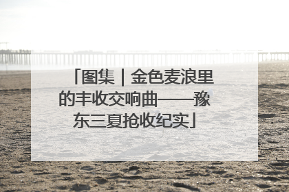 图集｜金色麦浪里的丰收交响曲——豫东三夏抢收纪实