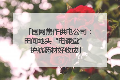 国网焦作供电公司：田间地头“电课堂” 护航药材好收成