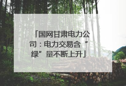 国网甘肃电力公司：电力交易含“绿”量不断上升