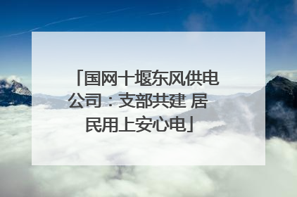 国网十堰东风供电公司：支部共建 居民用上安心电