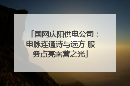 国网庆阳供电公司：电脉连通诗与远方 服务点亮露营之光