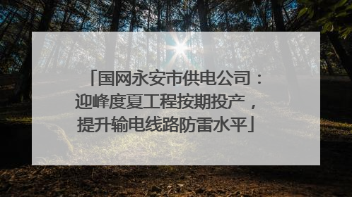 国网永安市供电公司：迎峰度夏工程按期投产，提升输电线路防雷水平