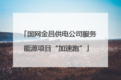 国网金昌供电公司服务能源项目“加速跑”