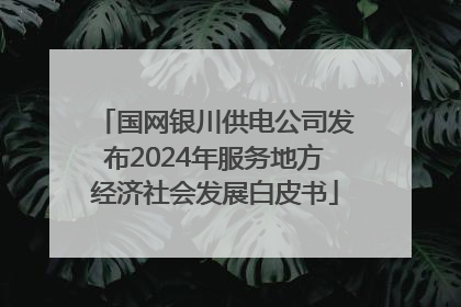 国网银川供电公司发布2024年服务地方经济社会发展白皮书