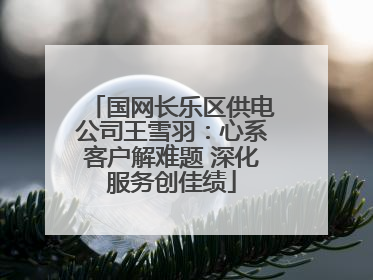 国网长乐区供电公司王雪羽：心系客户解难题 深化服务创佳绩