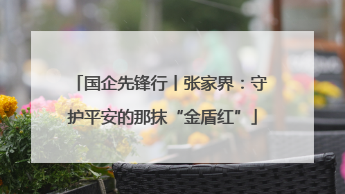 国企先锋行丨张家界：守护平安的那抹“金盾红”