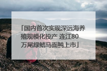 国内首次实现深远海养殖规模化投产 连江80万尾绿鳍马面鲀上市