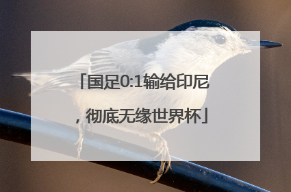 国足0:1输给印尼，彻底无缘世界杯