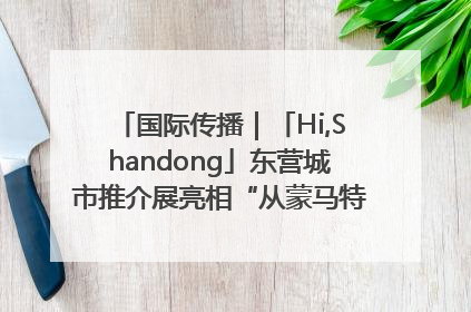 国际传播｜「Hi,Shandong」东营城市推介展亮相“从蒙马特到加里波第”文化节