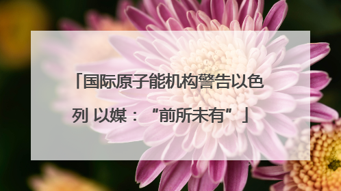 国际原子能机构警告以色列 以媒：“前所未有”