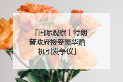 国际观察丨特朗普政府接受豪华赠机引发争议