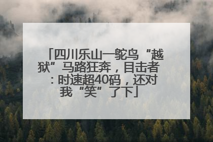 四川乐山一鸵鸟“越狱”马路狂奔，目击者：时速超40码，还对我“笑”了下