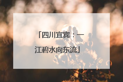 四川宜宾：一江碧水向东流