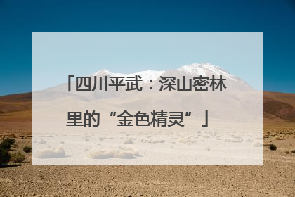 四川平武：深山密林里的“金色精灵”