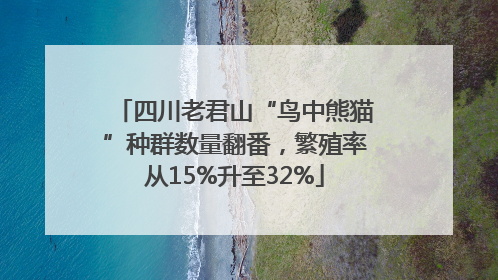 四川老君山“鸟中熊猫”种群数量翻番，繁殖率从15%升至32%