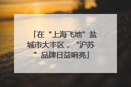 在“上海飞地”盐城市大丰区，“沪苏”品牌日益响亮