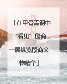 在甲骨青铜中“看见”殷商，一展纵览殷商文物精华