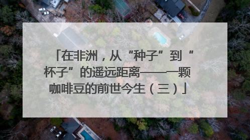 在非洲，从“种子”到“杯子”的遥远距离——一颗咖啡豆的前世今生（三）