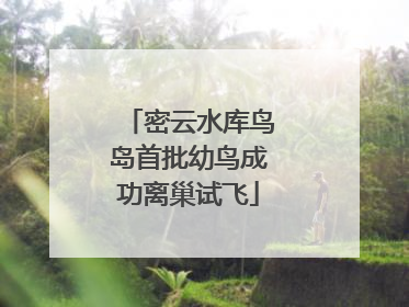 密云水库鸟岛首批幼鸟成功离巢试飞