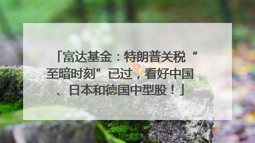 富达基金：特朗普关税“至暗时刻”已过，看好中国、日本和德国中型股！