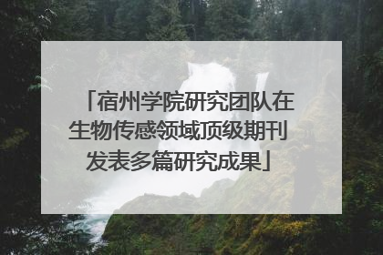 宿州学院研究团队在生物传感领域顶级期刊发表多篇研究成果