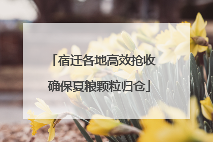 宿迁各地高效抢收 确保夏粮颗粒归仓