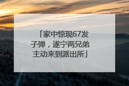 家中惊现67发子弹，遂宁两兄弟主动来到派出所