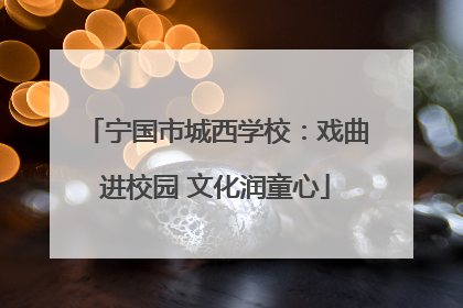 宁国市城西学校：戏曲进校园 文化润童心