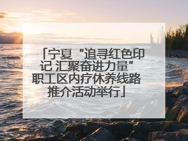 宁夏“追寻红色印记 汇聚奋进力量”职工区内疗休养线路推介活动举行
