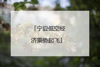 宁夏低空经济乘势起飞