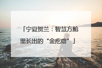 宁夏贺兰：智慧方舱里长出的“金疙瘩”