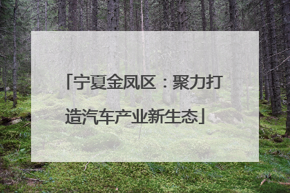 宁夏金凤区：聚力打造汽车产业新生态