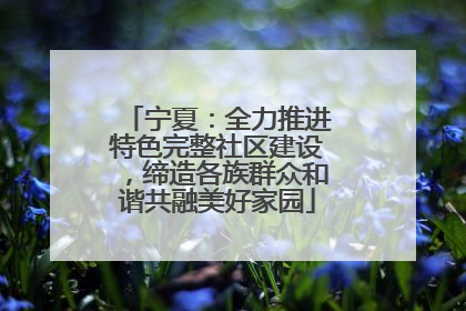 宁夏：全力推进特色完整社区建设，缔造各族群众和谐共融美好家园
