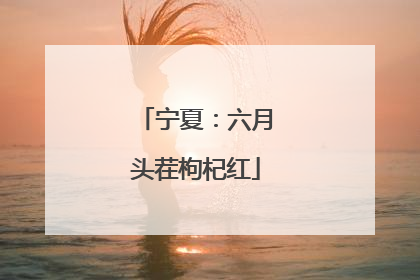 宁夏：六月头茬枸杞红