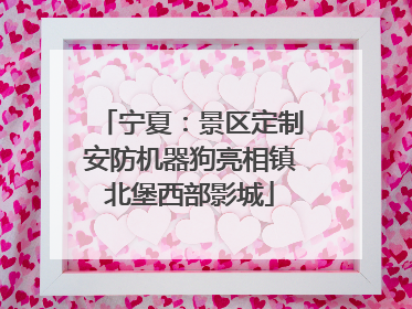 宁夏：景区定制安防机器狗亮相镇北堡西部影城