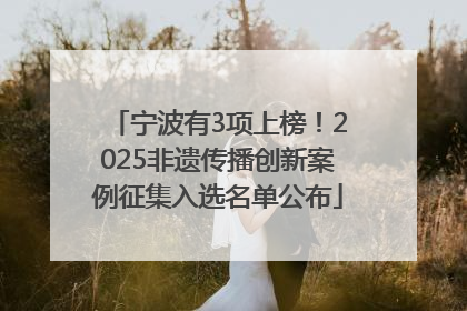 宁波有3项上榜！2025非遗传播创新案例征集入选名单公布