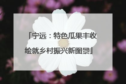 宁远：特色瓜果丰收绘就乡村振兴新图景