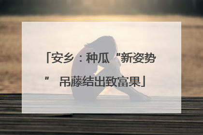 安乡：种瓜“新姿势” 吊藤结出致富果