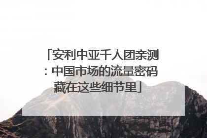 安利中亚千人团亲测：中国市场的流量密码 藏在这些细节里