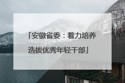安徽省委：着力培养选拔优秀年轻干部