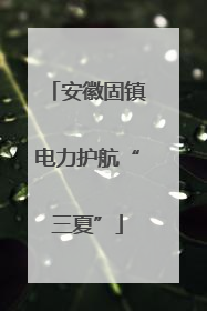 安徽固镇电力护航“三夏”