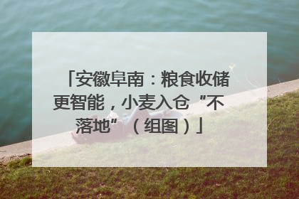 安徽阜南：粮食收储更智能，小麦入仓“不落地”（组图）