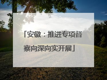 安徽：推进专项督察向深向实开展