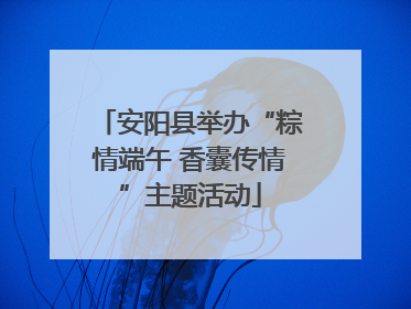 安阳县举办“粽情端午 香囊传情”主题活动